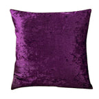 Carina - Super Soft Velvet Decorative Cushion for Sofa and Living Room