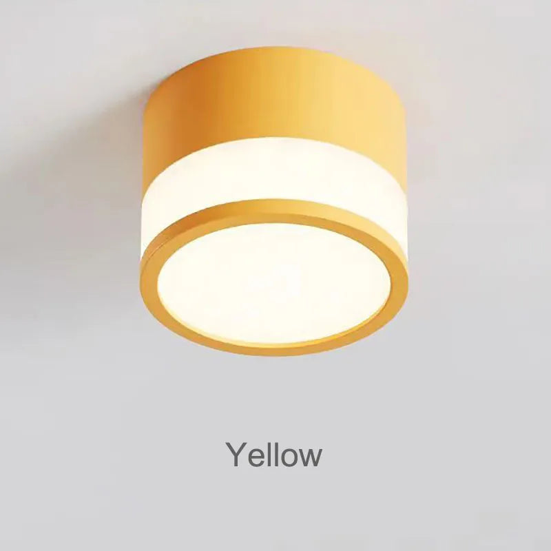 Elyran - Nordic LED Surface Mounted Dimmable Downlight