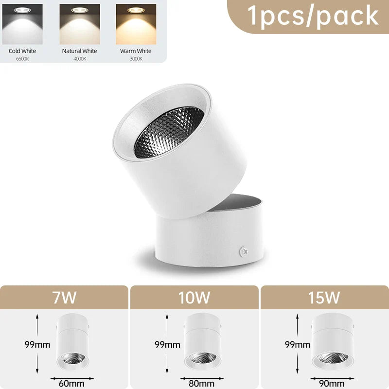 Zyphra - LED Surface and Recessed Spot Tri-Color Ceiling Lamp