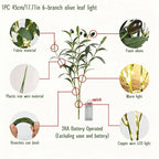 Norellia – LED Olive Branches Ambient Lighting on Battery