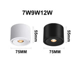 Deloran – Dimmable Ceiling Spot with Narrow Beam Angle