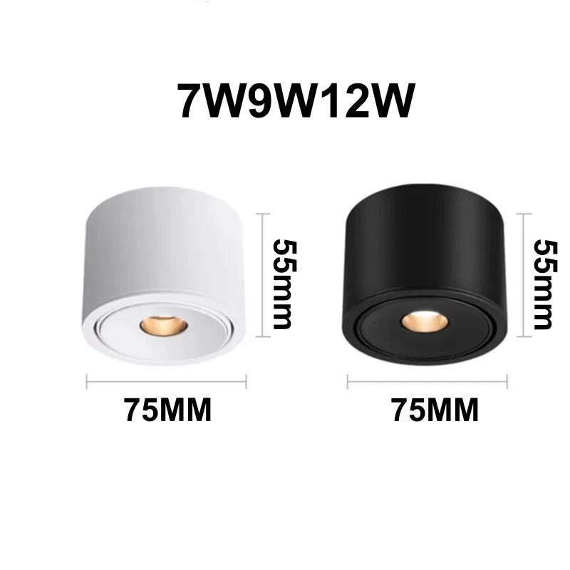 Deloran – Dimmable Ceiling Spot with Narrow Beam Angle