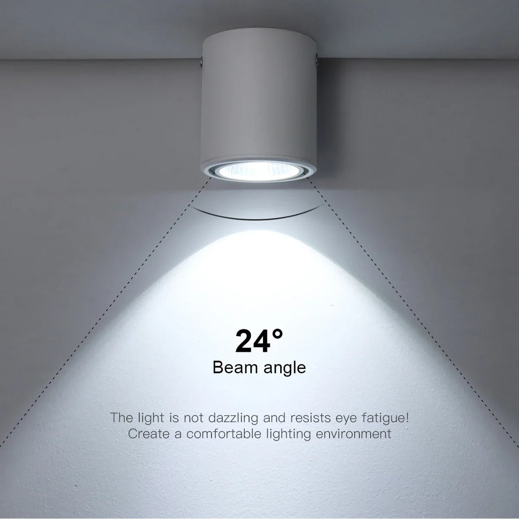 Durelio – 30 Degree LED Spot Surface Mounted Ceiling Lamp 7W 12W
