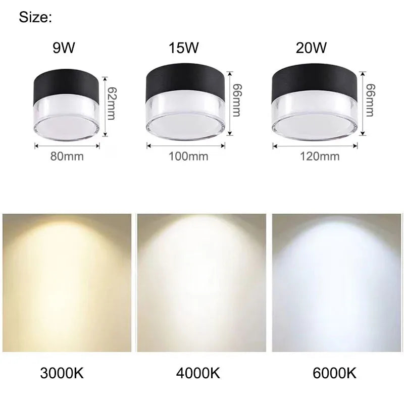 Adaline - LED Surface Mounted Downlight Ceiling Lamp