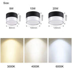 Adaline - LED Surface Mounted Downlight Ceiling Lamp