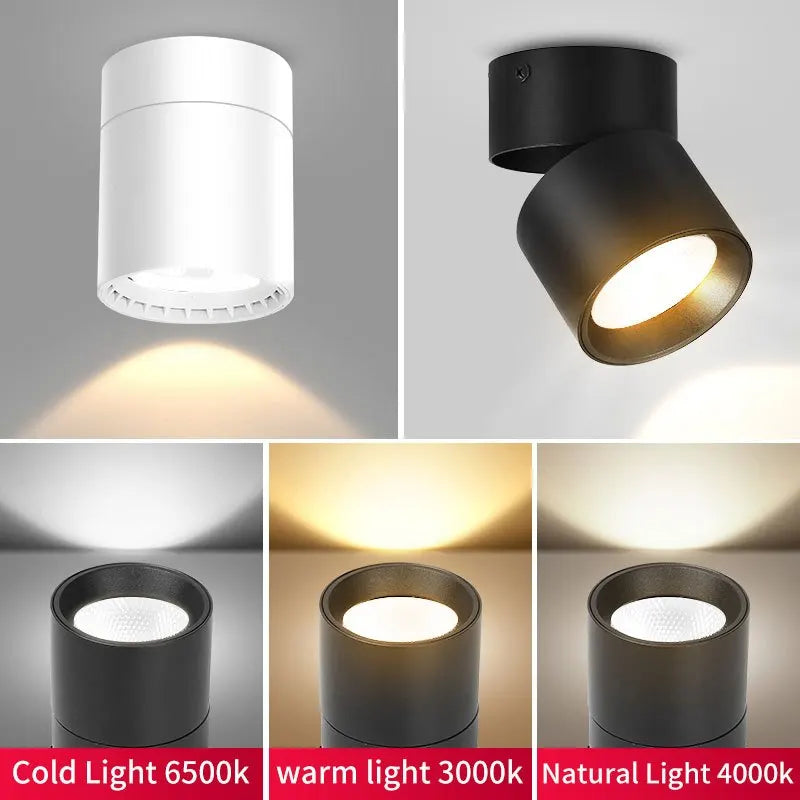 Zyphra - LED Surface and Recessed Spot Tri-Color Ceiling Lamp
