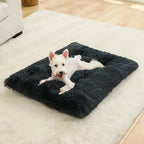Cleo Hondenbed | Extra Zacht Pluche, 100% Katoen