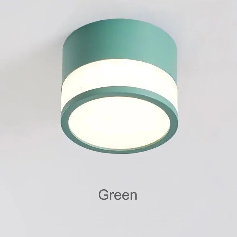 Elyran - Nordic LED Surface Mounted Dimmable Downlight