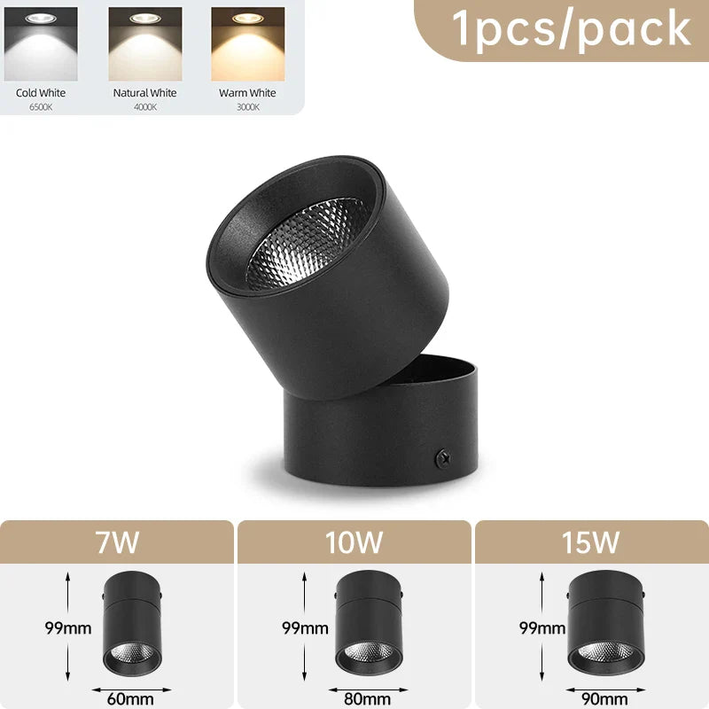 Zyphra - LED Surface and Recessed Spot Tri-Color Ceiling Lamp