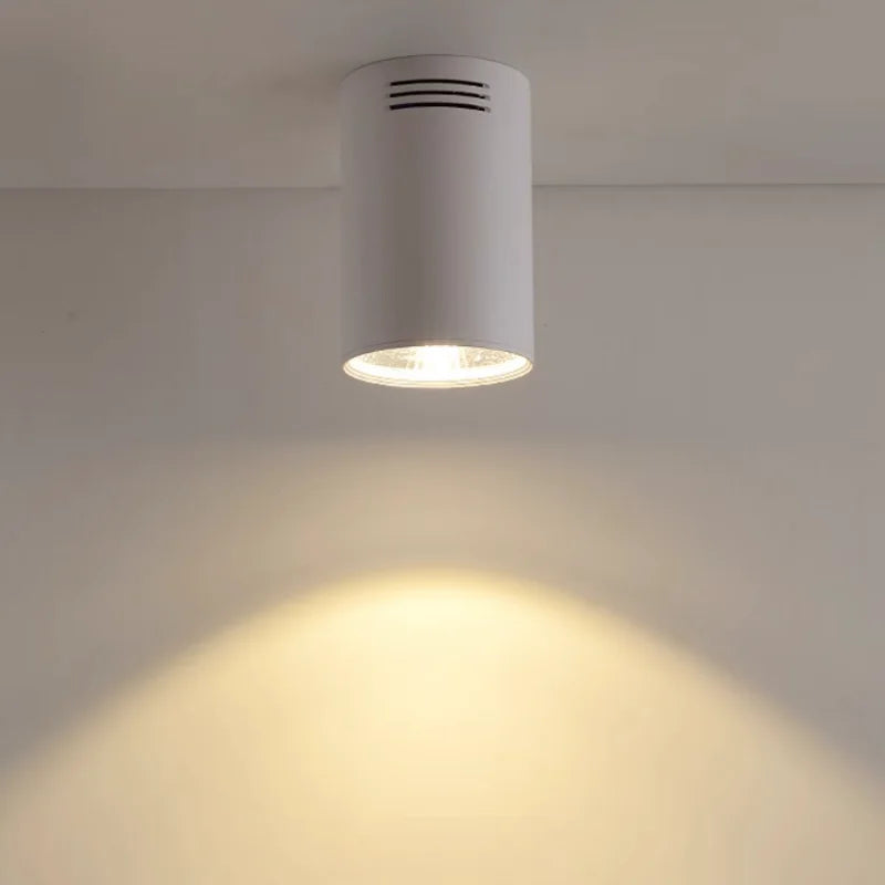 Velorinda – Dimmable LED Recessed Ceiling Spot Light
