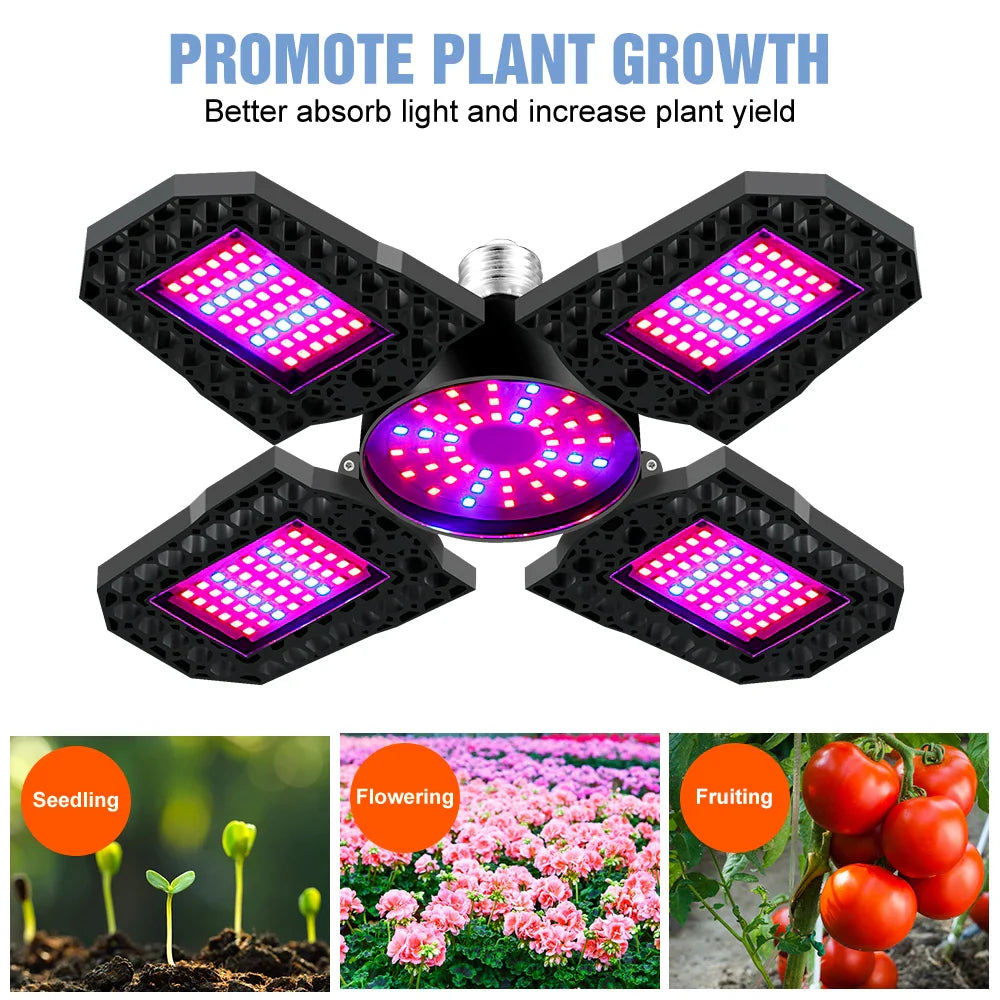 PhytoLux – Full Spectrum LED Grow Light for Plants