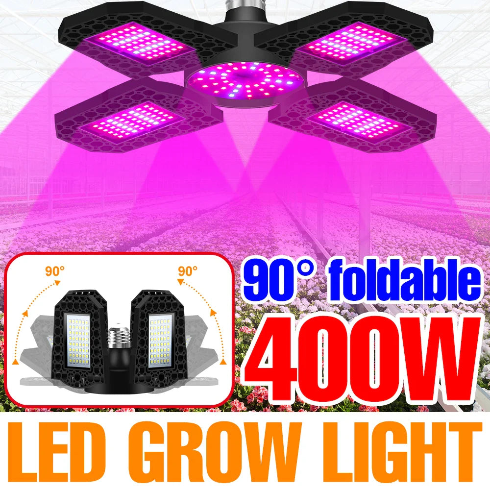 PhytoLux – Full Spectrum LED Grow Light for Plants