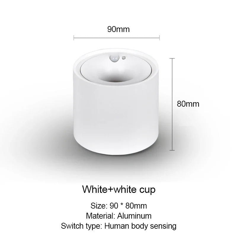 Orvyn - LED Ceiling Spot with Motion Sensor