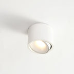Punto LED Ceiling Spotlight | Adjustable, Aluminium