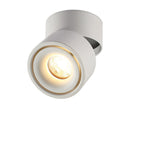 Contemporary Adjustable Aluminum LED Flush Mount Ceiling Light for Living Room