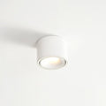 Punto LED Ceiling Spotlight | Adjustable, Aluminium