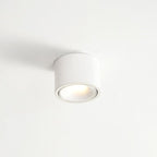 Punto LED Ceiling Spotlight | Adjustable, Aluminium