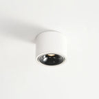Contemporary Adjustable Round LED Flush Mount Ceiling Spotlight