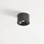 Contemporary Adjustable Round LED Flush Mount Ceiling Spotlight