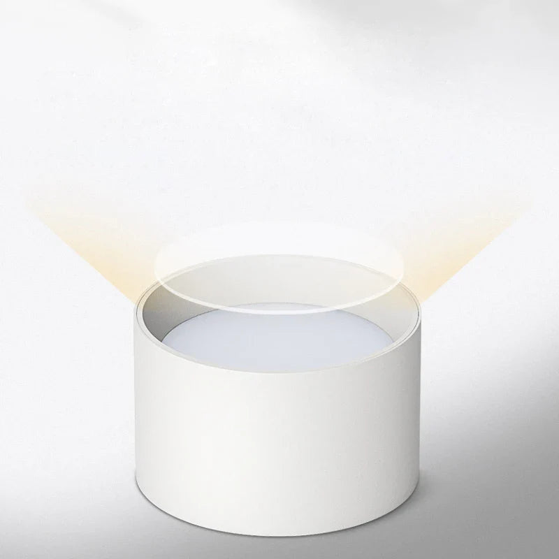 Velioran – LED Surface Mounted Ceiling Lamp 12W 15W 220V