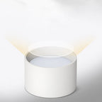 Velioran – LED Surface Mounted Ceiling Lamp 12W 15W 220V