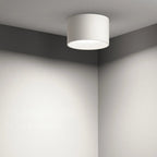 Velioran – LED Surface Mounted Ceiling Lamp 12W 15W 220V