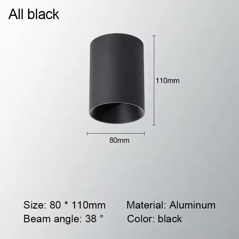 Levorin – LED Surface-Mounted Spot Aluminum Ceiling Lamp