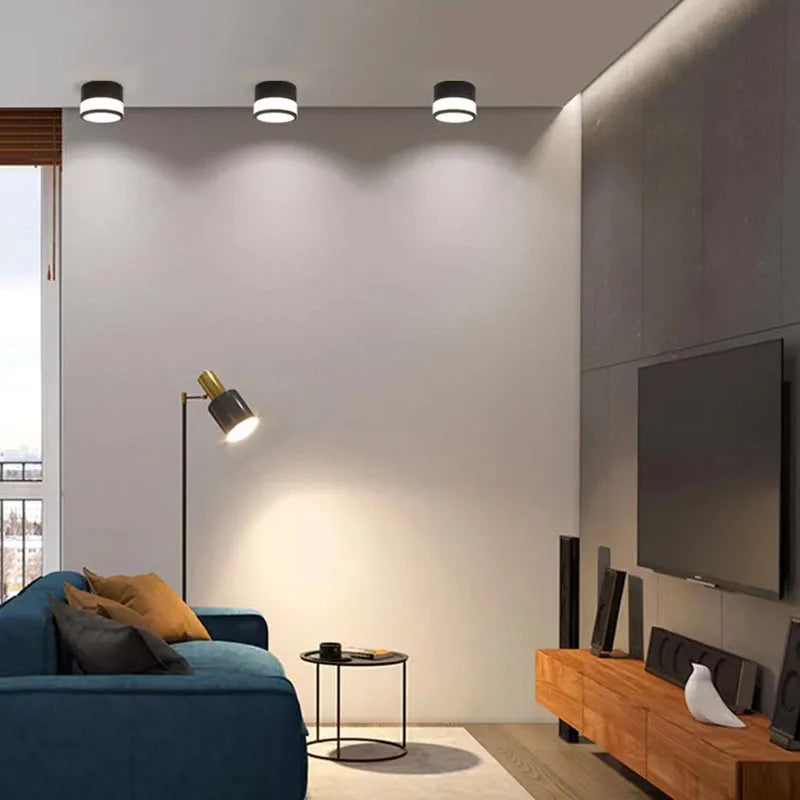 Elyran - Nordic LED Surface Mounted Dimmable Downlight