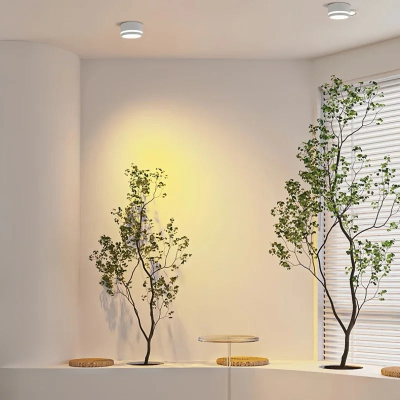 Velion - Ultra Thin LED Ceiling Light Side Light