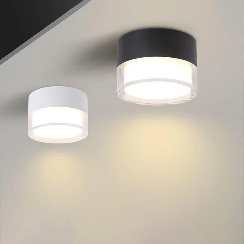 Adaline - LED Surface Mounted Downlight Ceiling Lamp