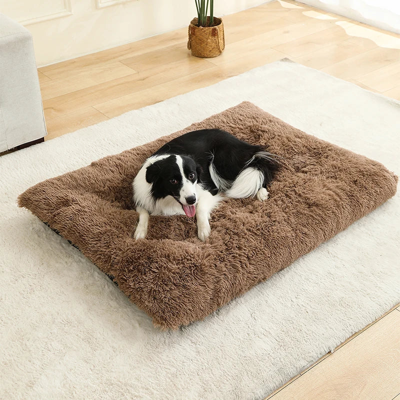 Cleo Hondenbed | Extra Zacht Pluche, 100% Katoen