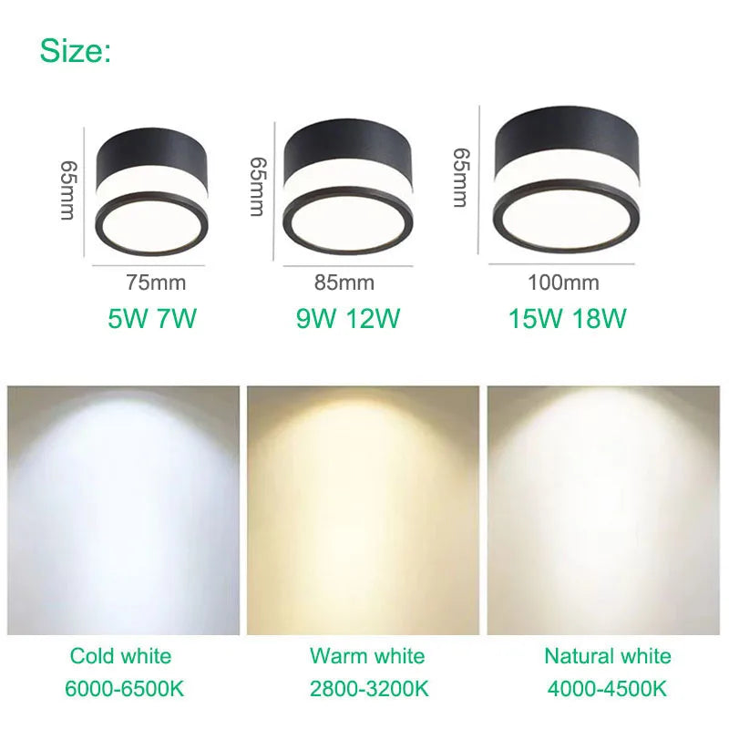 Elyran - Nordic LED Surface Mounted Dimmable Downlight