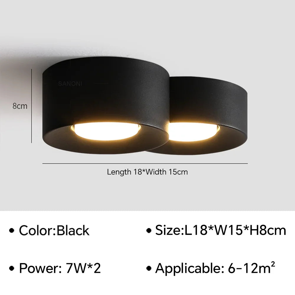 Birelio – Modern LED Ceiling Lamp Cylinder Spotlight