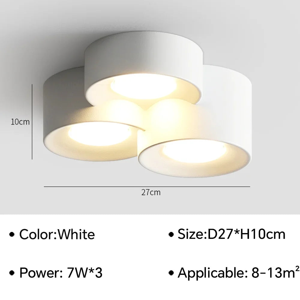 Birelio – Modern LED Ceiling Lamp Cylinder Spotlight