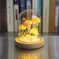 Sea Urchin Shell Night Light Battery Powered Freestanding Decor Lamp