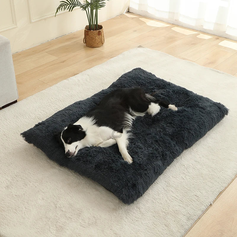 Cleo Hondenbed | Extra Zacht Pluche, 100% Katoen
