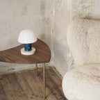 Cordless Portable LED Table Lamp with Touch Dimmer