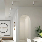 Pnyra – LED Dimmable Surface-Mounted Ceiling Spotlights