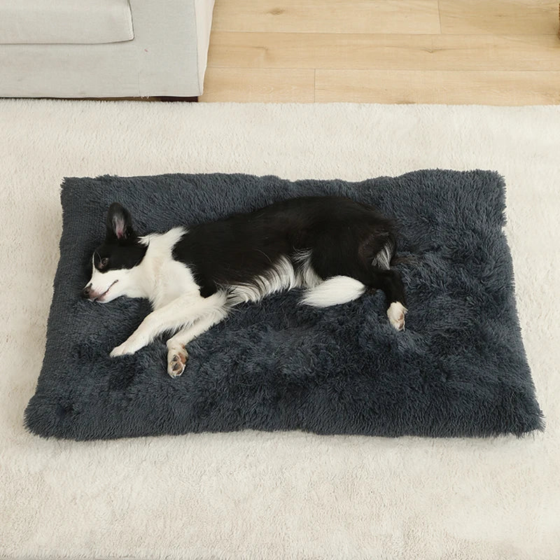 Cleo Hondenbed | Extra Zacht Pluche, 100% Katoen