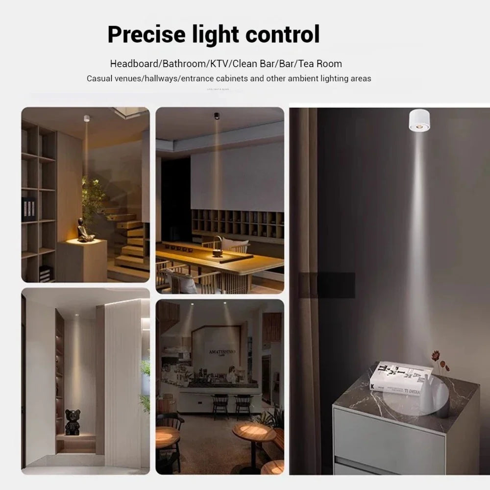 Deloran – Dimmable Ceiling Spot with Narrow Beam Angle