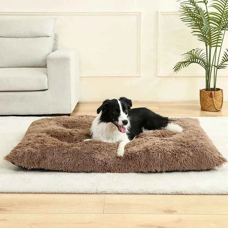 Cleo Hondenbed | Extra Zacht Pluche, 100% Katoen