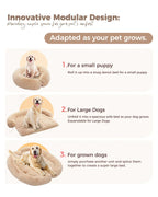 Aero Dog Bed | Modular Design & Washable Anti-Slip