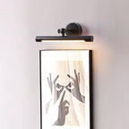 Pivoting LED Picture Light, Frosted Acrylic Diffuser