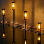 Solar Powered Torch Light