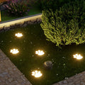 Solar Garden Lights with Paw Print Design – Weatherproof Outdoor LED Pathway Lighting with Automatic Sensor