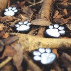 Solar Garden Lights with Paw Print Design – Weatherproof Outdoor LED Pathway Lighting with Automatic Sensor