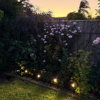 Solar Spotlight Pack LED Outdoor Lighting Weatherproof with Ground Stakes