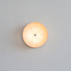Concentric LED Wall Sconce, Ultra-Flush Halo