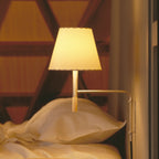Plug-In Swing-Arm Wall Sconce, Steel & Wood