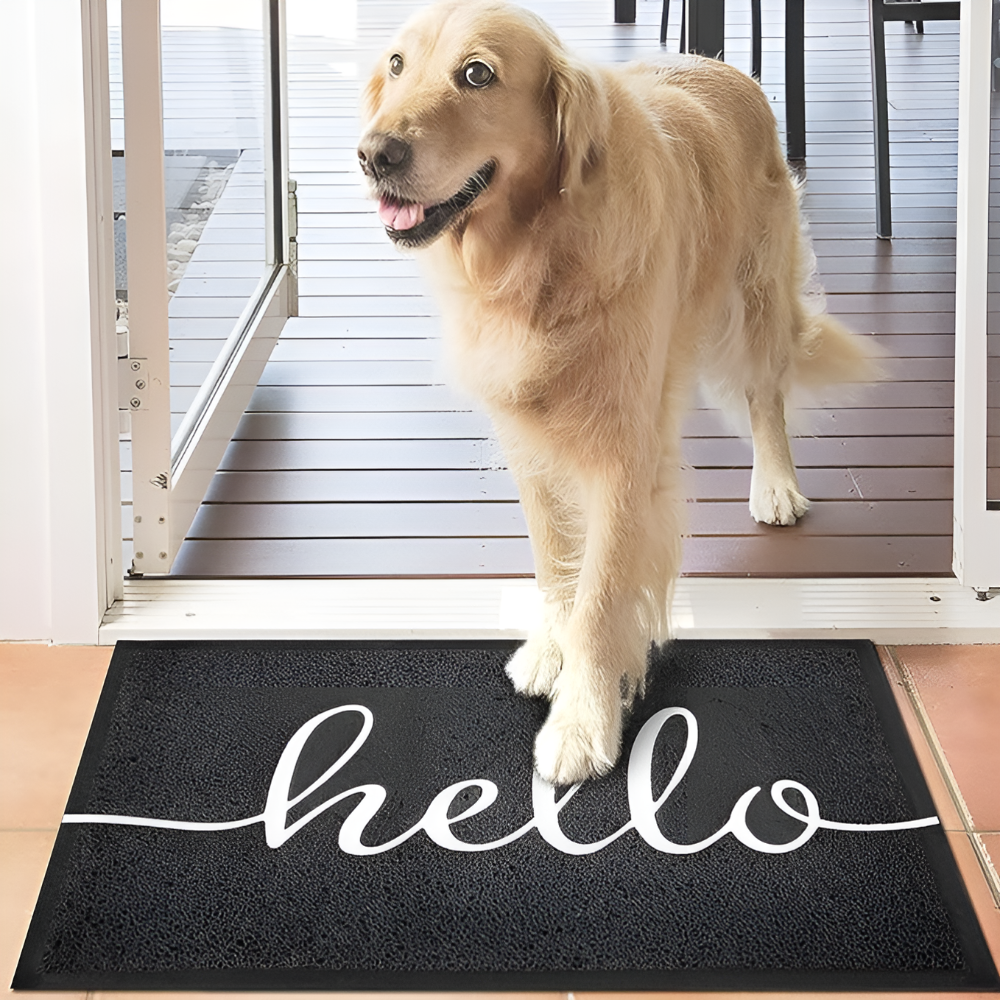 StyleWelcome: luxurious doormat – dirt-catching, durable & stylish for indoor & outdoor areas